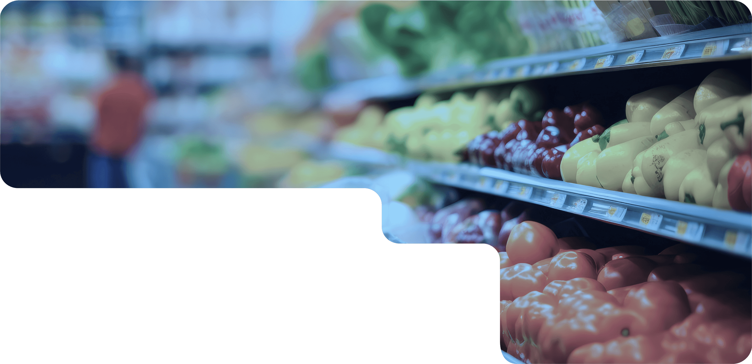 株式会社DATAFLUCT（データフラクト）