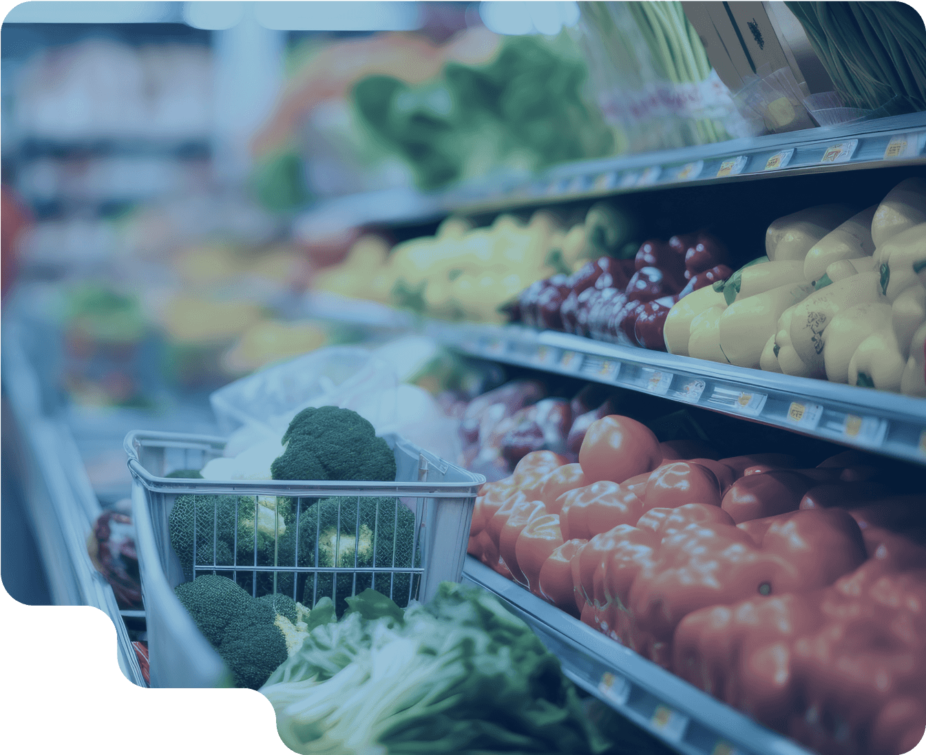 株式会社DATAFLUCT（データフラクト）