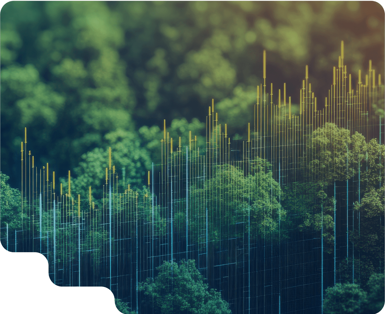 株式会社DATAFLUCT(データフラクト)