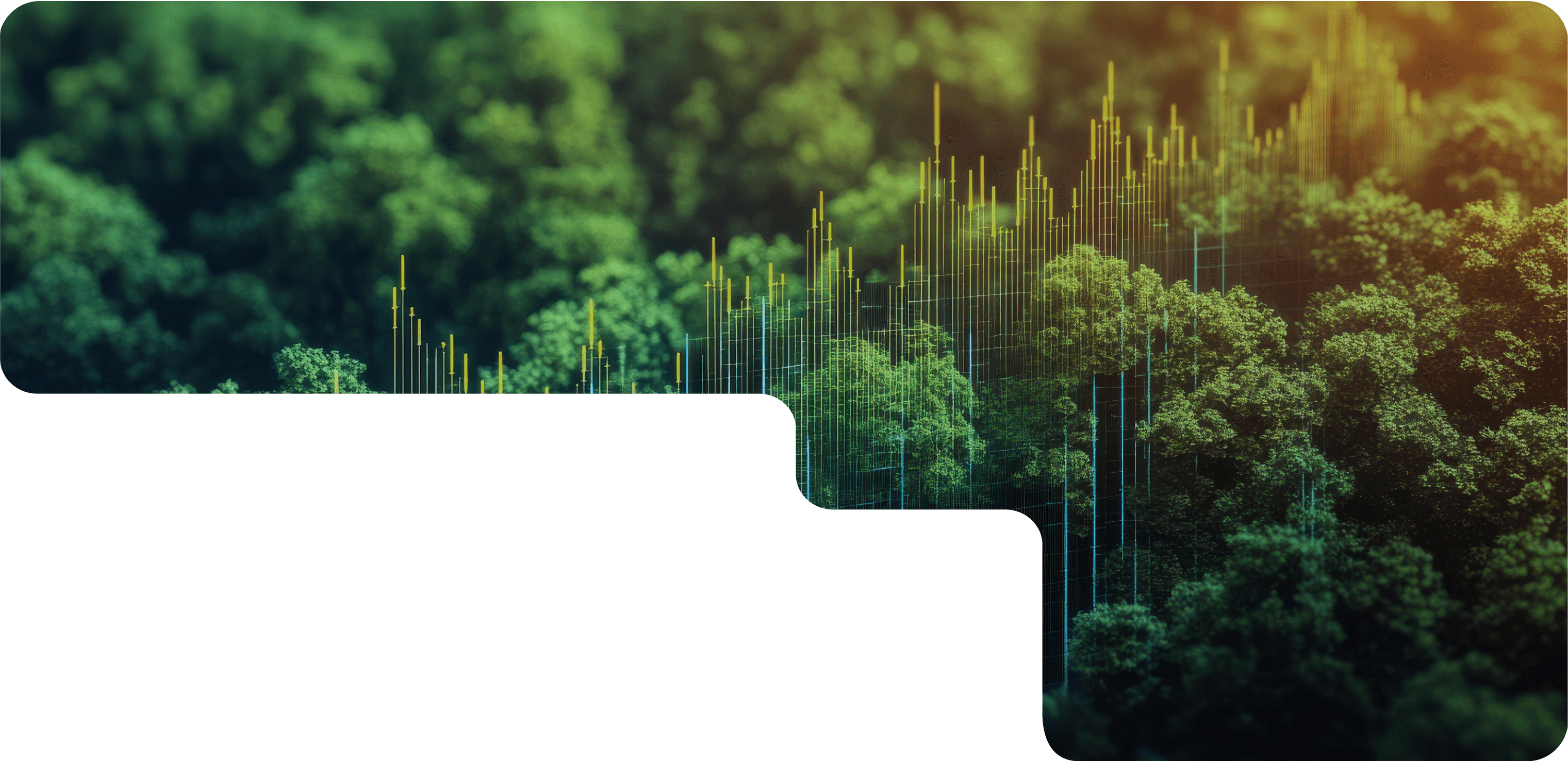 株式会社DATAFLUCT(データフラクト)