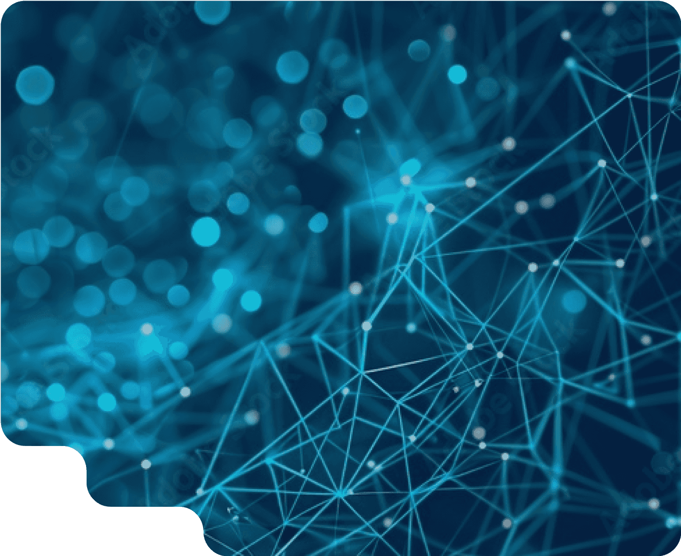 株式会社DATAFLUCT(データフラクト)